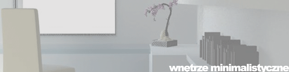 wnętrza minimalistyczne